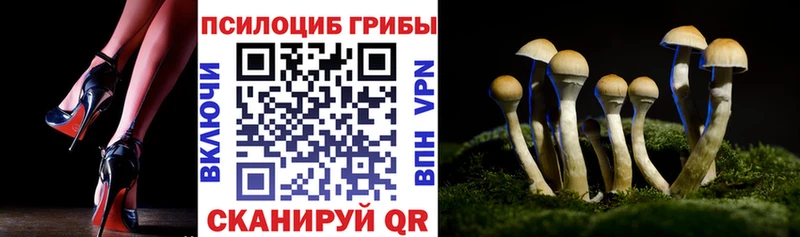 Галлюциногенные грибы ЛСД Тулун